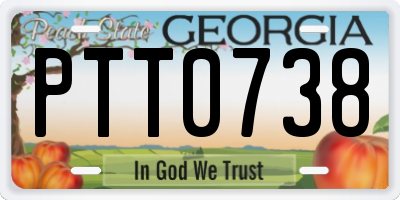 GA license plate PTT0738