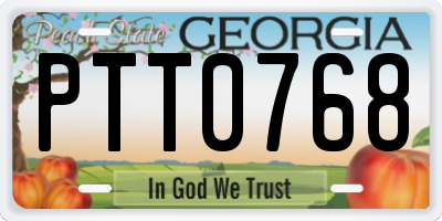 GA license plate PTT0768
