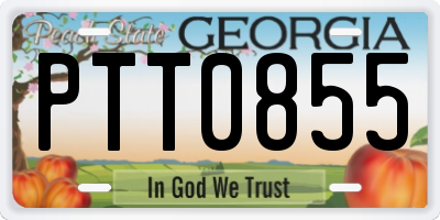 GA license plate PTT0855