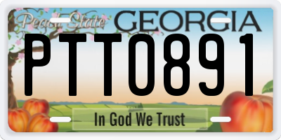 GA license plate PTT0891