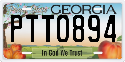 GA license plate PTT0894