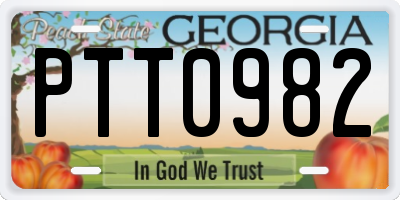 GA license plate PTT0982