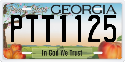 GA license plate PTT1125