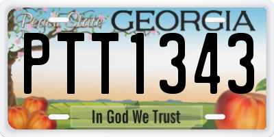 GA license plate PTT1343