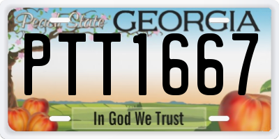 GA license plate PTT1667