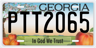 GA license plate PTT2065