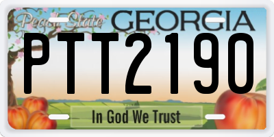 GA license plate PTT2190
