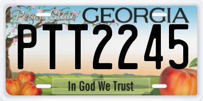 GA license plate PTT2245