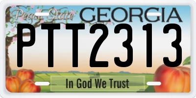 GA license plate PTT2313