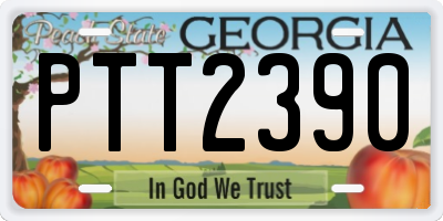 GA license plate PTT2390