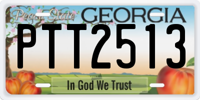 GA license plate PTT2513