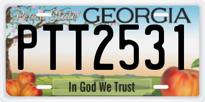 GA license plate PTT2531