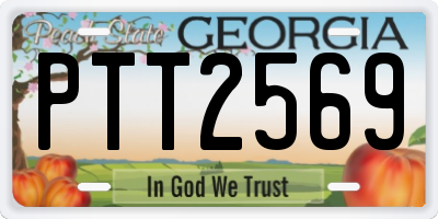 GA license plate PTT2569