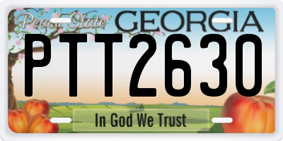GA license plate PTT2630