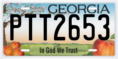 GA license plate PTT2653