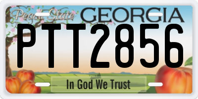 GA license plate PTT2856