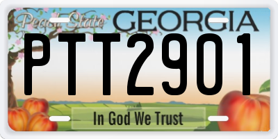 GA license plate PTT2901