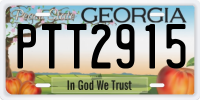 GA license plate PTT2915