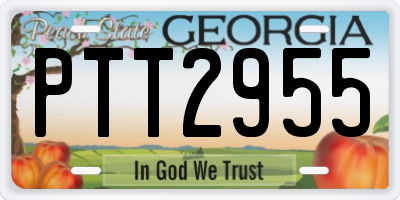 GA license plate PTT2955