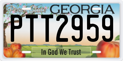 GA license plate PTT2959