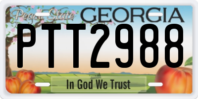 GA license plate PTT2988