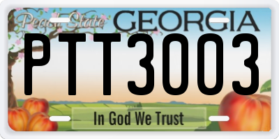 GA license plate PTT3003