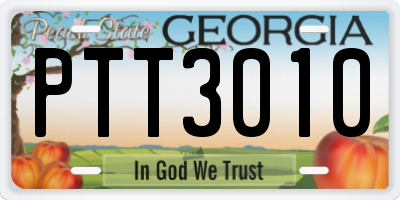 GA license plate PTT3010