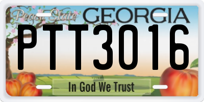 GA license plate PTT3016