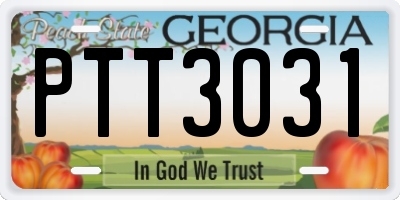 GA license plate PTT3031