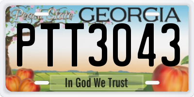 GA license plate PTT3043