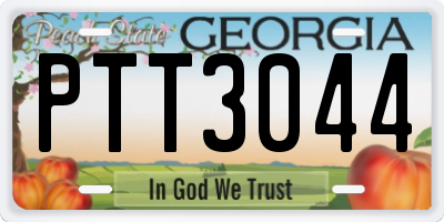 GA license plate PTT3044