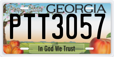 GA license plate PTT3057