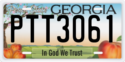 GA license plate PTT3061