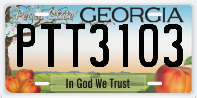 GA license plate PTT3103