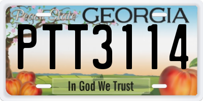 GA license plate PTT3114