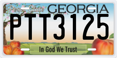 GA license plate PTT3125