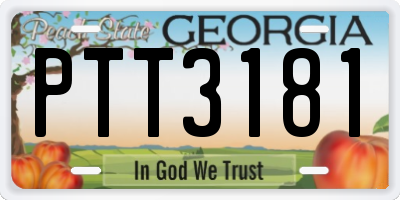 GA license plate PTT3181
