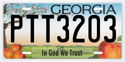 GA license plate PTT3203