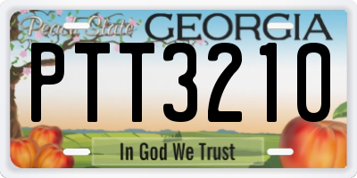 GA license plate PTT3210