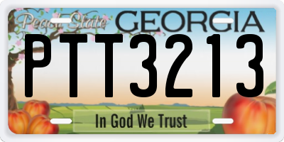 GA license plate PTT3213