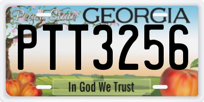 GA license plate PTT3256