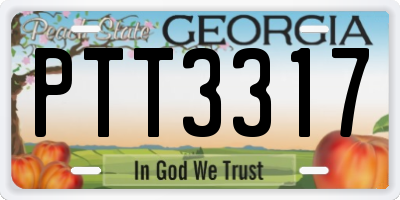 GA license plate PTT3317