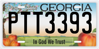 GA license plate PTT3393