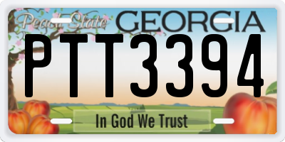 GA license plate PTT3394