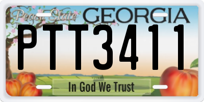 GA license plate PTT3411