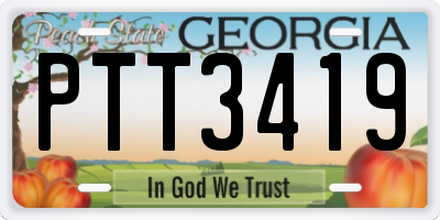 GA license plate PTT3419