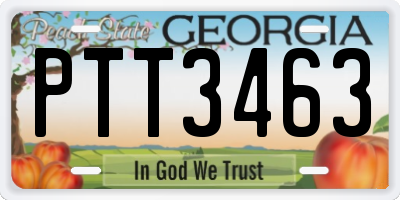 GA license plate PTT3463