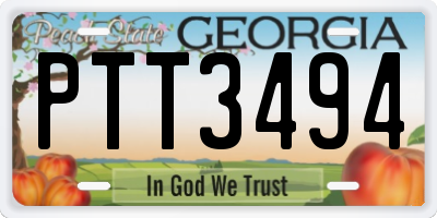 GA license plate PTT3494