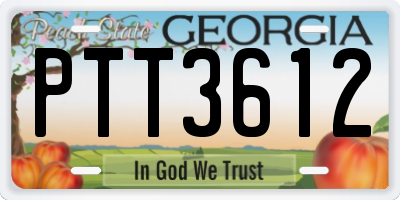 GA license plate PTT3612
