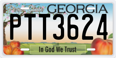 GA license plate PTT3624